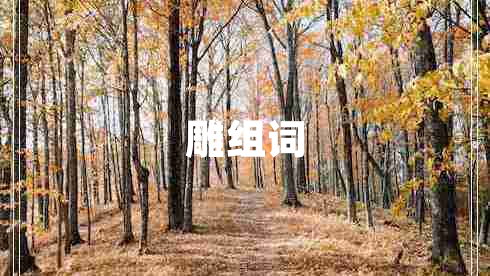 雕組詞
