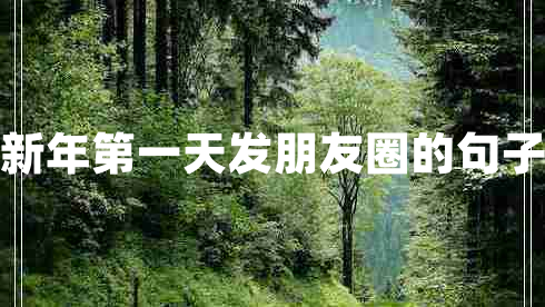 新年第一天發(fā)朋友圈的句子 新年第一天發(fā)朋友圈的句子