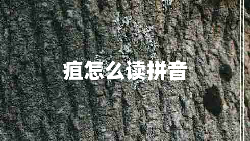 疽怎么讀拼音 疽怎么讀拼音