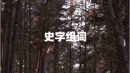 史字組詞