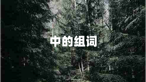 中的組詞 中的組詞