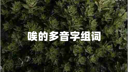 唉的多音字組詞