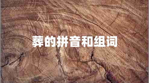 葬的拼音和組詞