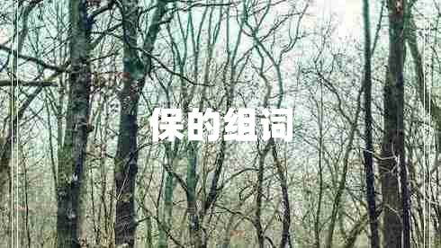 保的組詞