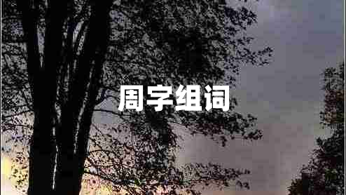 周字組詞 周字組詞