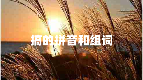 搞的拼音和組詞