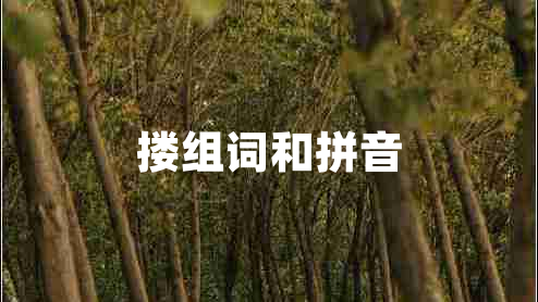 摟組詞和拼音