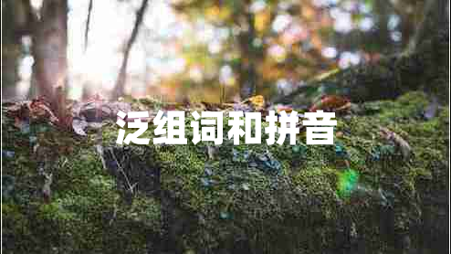 泛組詞和拼音