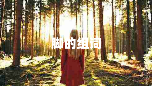 腳的組詞 腳的組詞