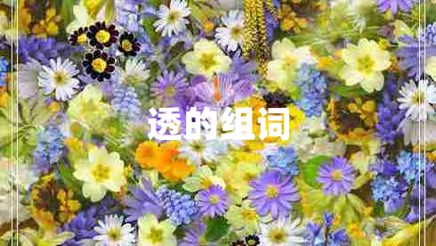 透的組詞 透的組詞