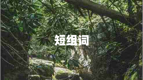 短組詞
