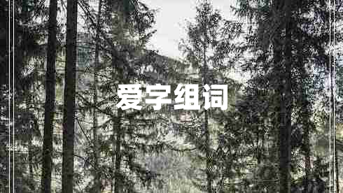 愛(ài)字組詞