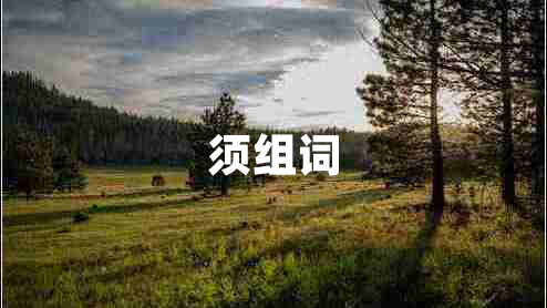 須組詞 須組詞