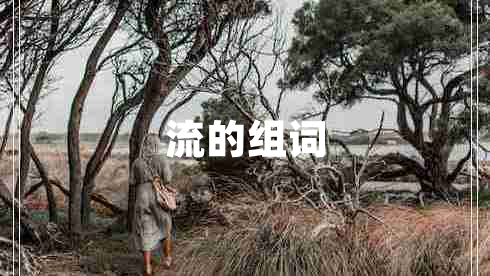 流的組詞
