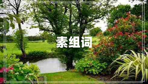素組詞 素組詞