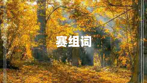 賽組詞