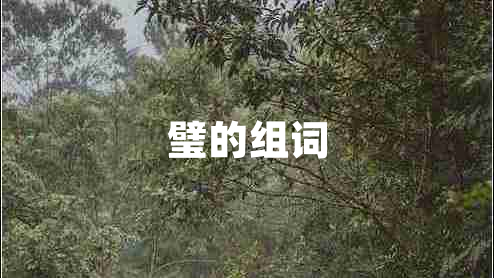 璧的組詞 璧的組詞