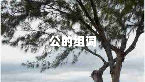 公的組詞