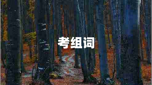 考組詞