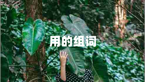 用的組詞