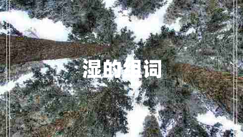 濕的組詞 濕的組詞