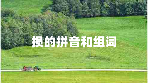 損的拼音和組詞