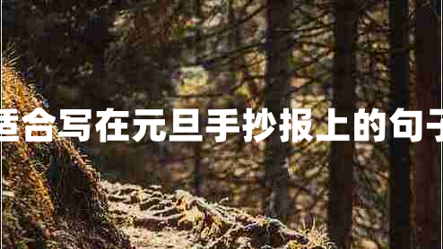 適合寫在元旦手抄報(bào)上的句子