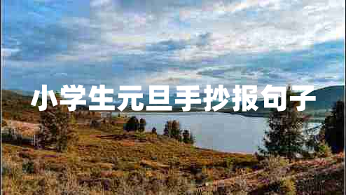 小學(xué)生元旦手抄報(bào)句子