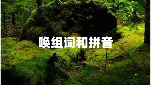 喚組詞和拼音 喚組詞和拼音