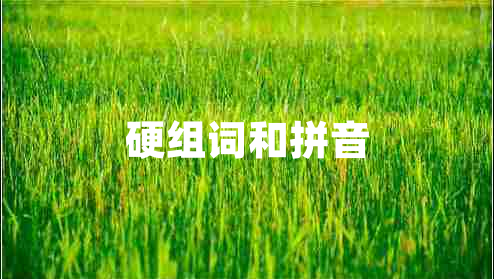 硬組詞和拼音 硬組詞和拼音