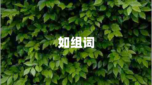 如組詞