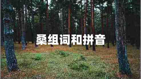 桑組詞和拼音 桑組詞和拼音