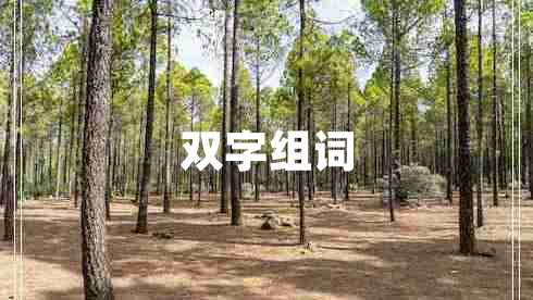 雙字組詞 雙字組詞