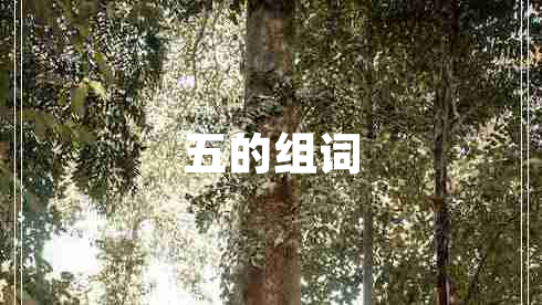 五的組詞