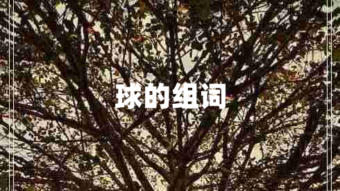 球的組詞 球的組詞