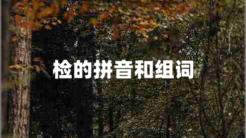 檢的拼音和組詞 檢的拼音和組詞