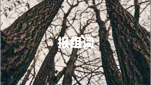 報組詞