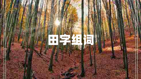 田字組詞
