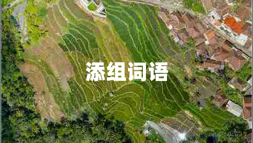 添組詞語 添組詞語