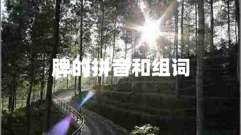 脾的拼音和組詞