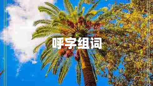 呼字組詞 呼字組詞