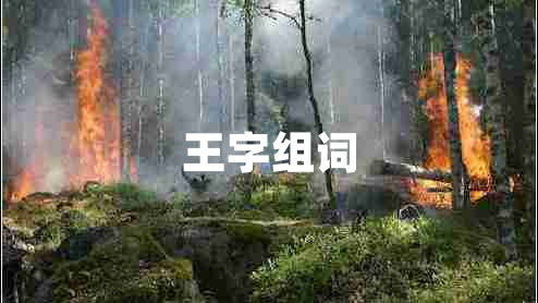 王字組詞