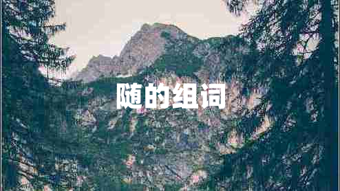 隨的組詞 隨的組詞