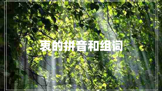 衷的拼音和組詞