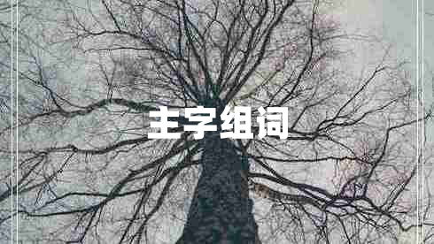 主字組詞