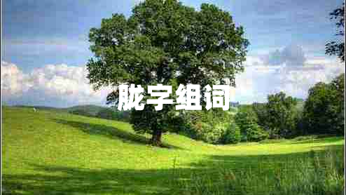 朧字組詞 朧字組詞