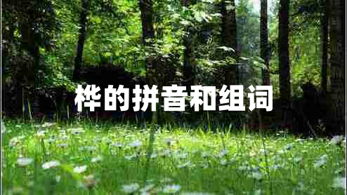 樺的拼音和組詞