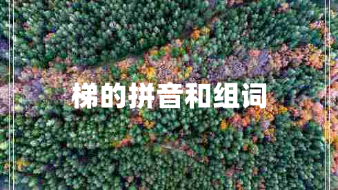 梯的拼音和組詞