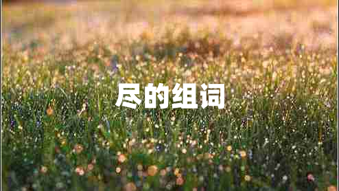 盡的組詞 盡的組詞