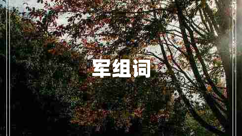 軍組詞